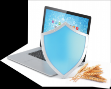 地方经济工做会议和2025年工做演讲都把“提振消